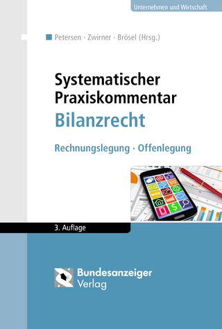 Systematischer Praxiskommentar Bilanzrecht