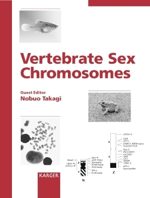 Vertebrate Sex Chromosomes