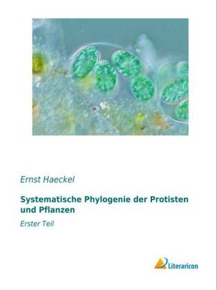Systematische Phylogenie der Protisten und Pflanzen