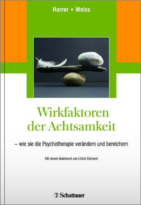 Wirkfaktoren der Achtsamkeit - Michael E. Harrer, Halko Weiss