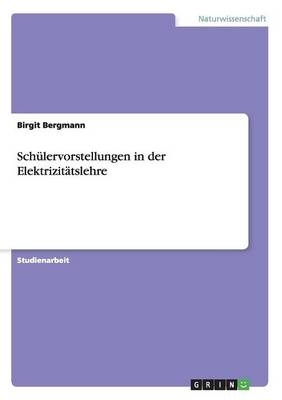 Sch&Atilde;&frac14;lervorstellungen in der Elektrizit&Atilde;&curren;tslehre - Birgit Bergmann