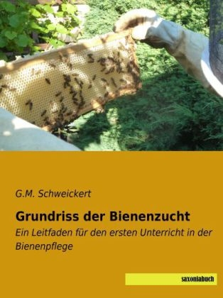 Grundriss der Bienenzucht