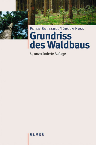 Grundriss des Waldbaus