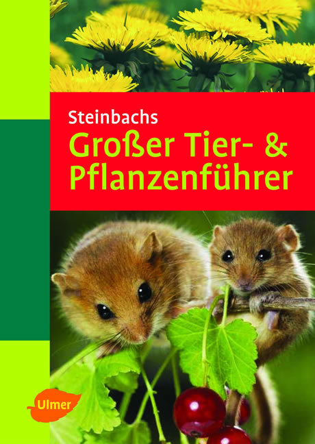Steinbachs Grosser Tier- & Pflanzenf&uuml;hrer - Heiko Bellmann, Xaver Finkenzeller, Helmut Gr&uuml;nert, Uwe Hartmann, Klaus Janke, Bruno P Kremer, Anne Puchta, Klaus Richarz, Renate Gr&uuml;nert