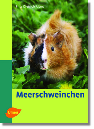 Meerschweinchen