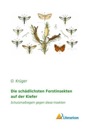 Die schädlichsten Forstinsekten auf der Kiefer