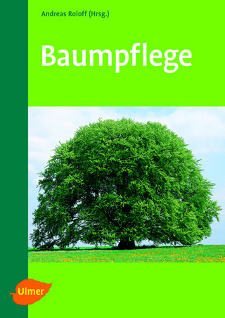 Baumpflege