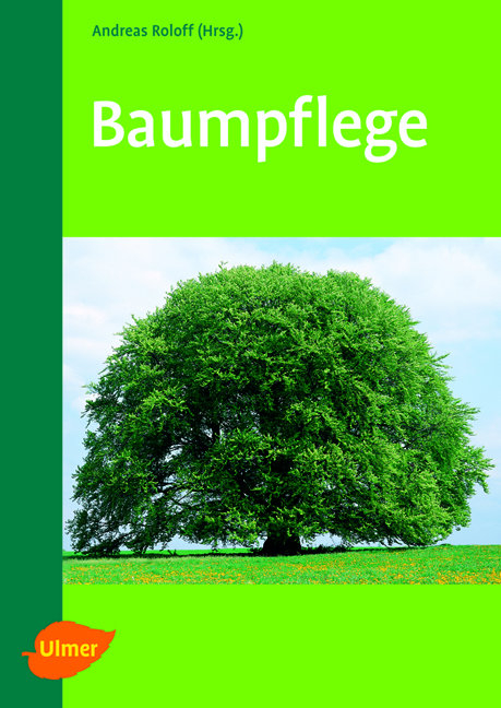 Baumpflege - Andreas Roloff
