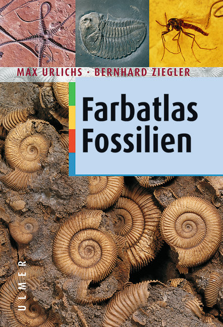 Fossilien - Max Urlichs, Bernhard Ziegler