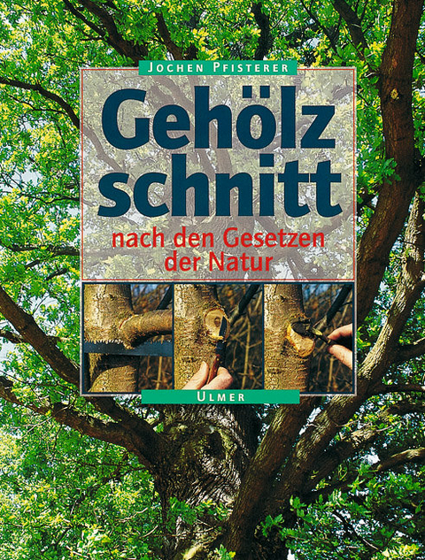 Geh&ouml;lzschnitt nach den Gesetzen der Natur - Jochen A. Pfisterer