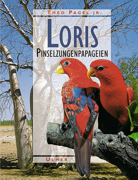 Loris - Theo Pagel