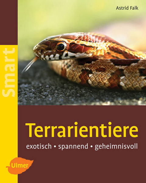 Terrarientiere - Astrid Falk