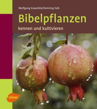Bibelpflanzen - Wolfgang Kawollek, Henning Falk