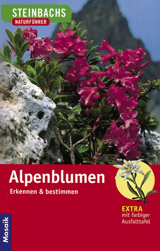 Alpenblumen