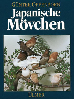 Japanische Mövchen