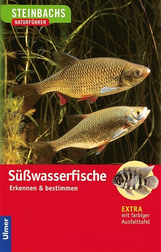 Süßwasserfische
