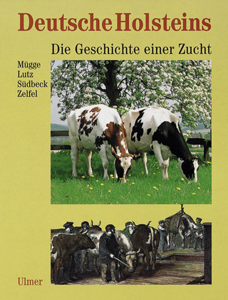 Deutsche Holsteins