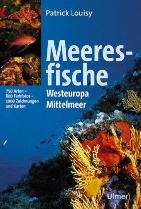 Meeresfische - Patrick Louisy
