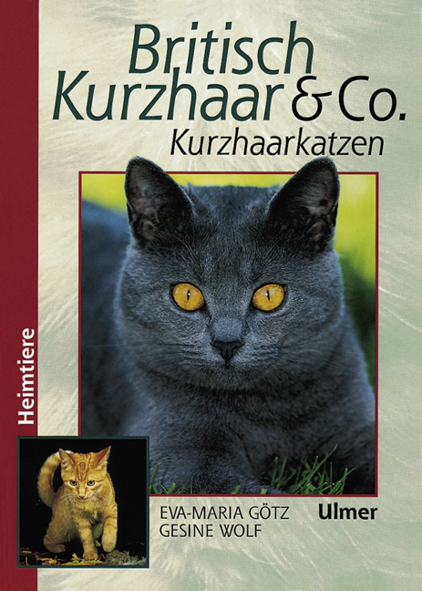 Britisch Kurzhaar & Co. - Eva M G&ouml;tz, Gesine Wolf