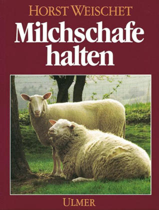 Milchschafe halten