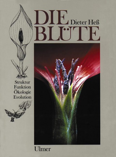 Die Bl&uuml;te - Dieter Hess