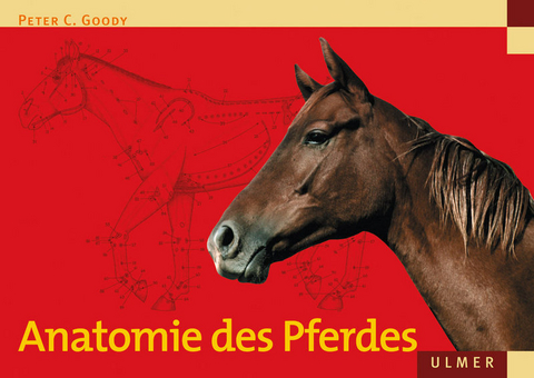 Anatomie des Pferdes - Peter C. Goody