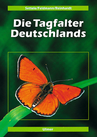 Die Tagfalter Deutschlands