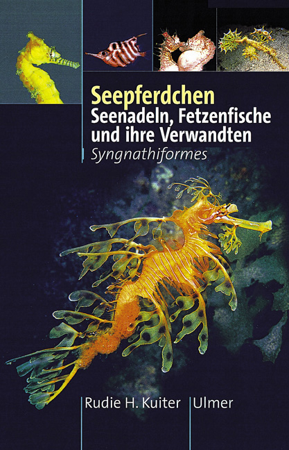 Seepferdchen, Seenadeln, Fetzenfische und ihre Verwandten - Rudie H Kuiter