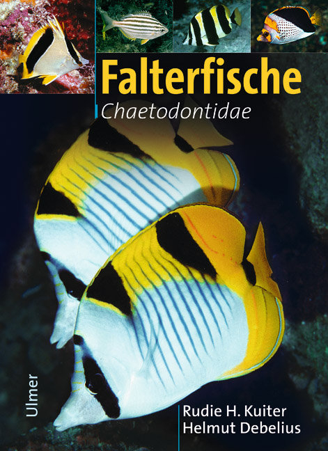 Falterfische - Rudie H Kuiter, Helmut Debelius