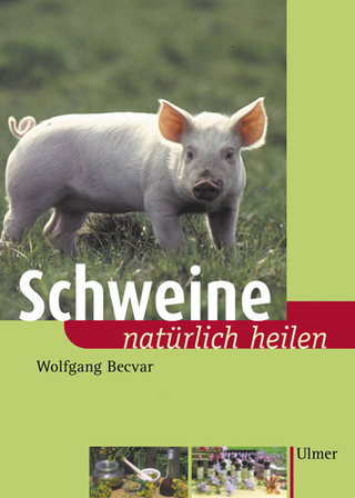 Schweine natürlich heilen