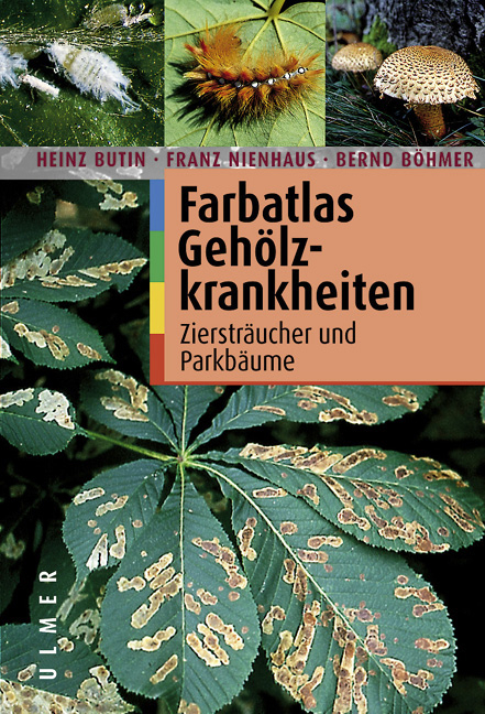 Farbatlas Geh&ouml;lzkrankheiten - Heinz Butin, Franz Nienhaus, Bernd B&ouml;hmer