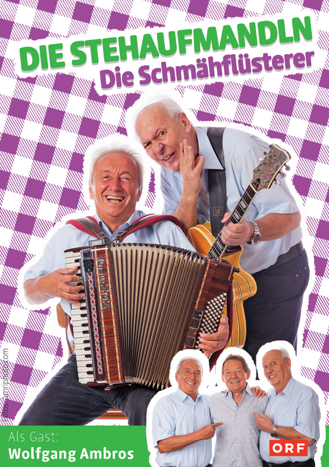 Die Schm&auml;hfl&uuml;sterer - 