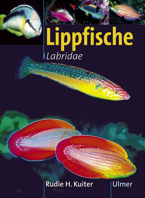 Lippfische - Rudie H. Kuiter
