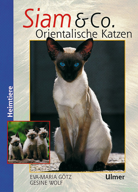 Siam & Co. Orientalische Katzen - Eva-Maria G&ouml;tz, Gesine Wolf