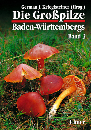 Die Grosspilze Baden-Württembergs / Die Großpilze Baden-Württembergs Band 3