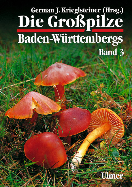 Die Grosspilze Baden-W&uuml;rttembergs / Die Gro&szlig;pilze Baden-W&uuml;rttembergs Band 3 - German J. Krieglsteiner, Andreas Gminder (Hrsg.)