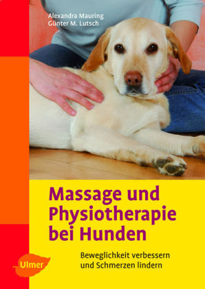 Massage und Physiotherapie bei Hunden