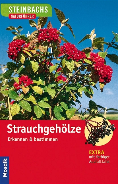 Strauchgeh&ouml;lze - Bruno P Kremer
