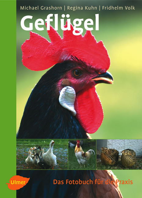 Gefl&uuml;gel - Michael Grashorn, Fridhelm Volk, Regina Kuhn