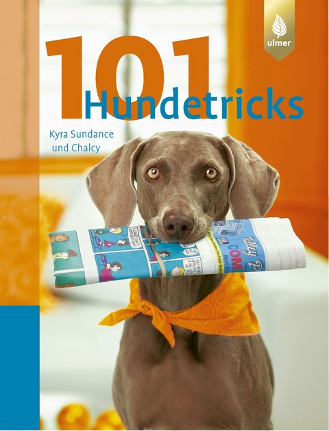 101 Hundetricks - Kyra Sundance