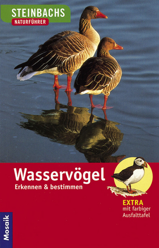 Wasservögel