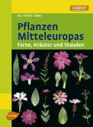 Pflanzen Mitteleuropas