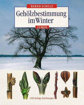 Geh&ouml;lzbestimmung im Winter - Bernd Schulz