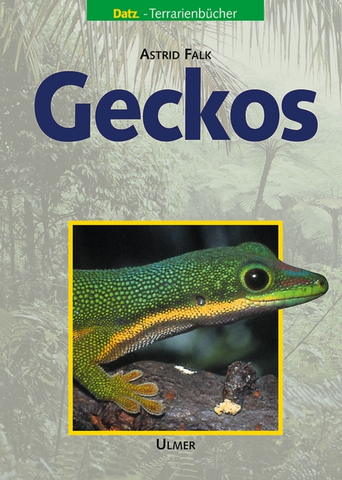 Geckos - Astrid Falk