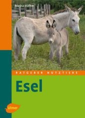 Esel - Marisa Hafner