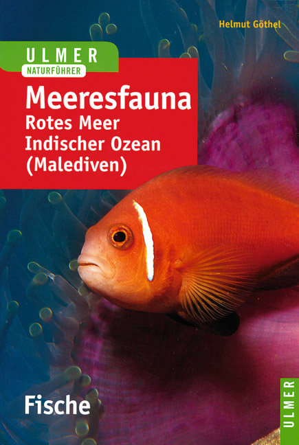 Ulmer Naturf&uuml;hrer Meeresfauna - Helmut G&ouml;thel