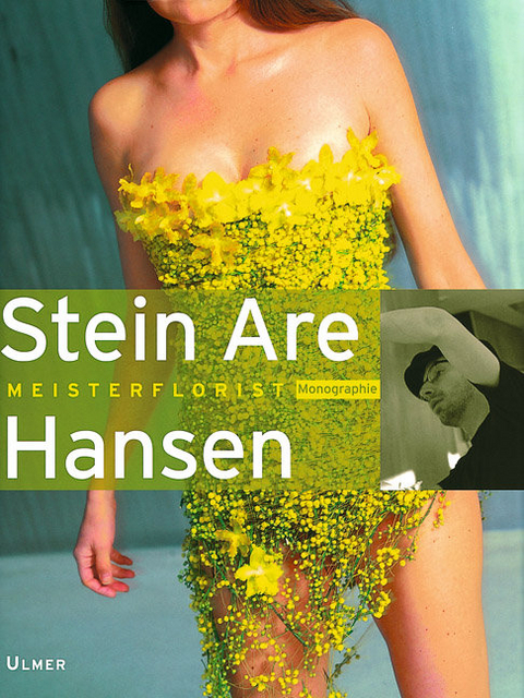 Stein Are Hansen - Stein Are Hansen