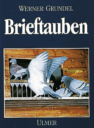 Brieftauben