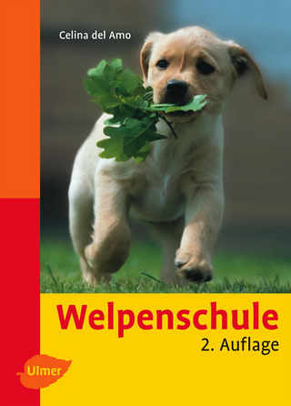 Welpenschule