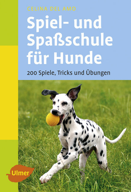 Spiel- und Spa&szlig;schule f&uuml;r Hunde - Celina Del Amo